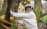 han_204-20131021-bp_0544